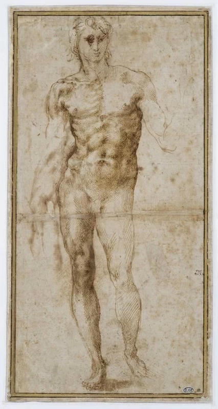 Studio di giovane uomo